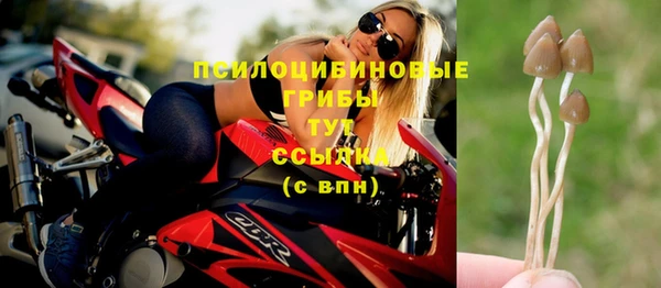 2c-b Елабуга