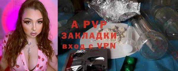 2c-b Ельня