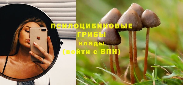 2c-b Ельня