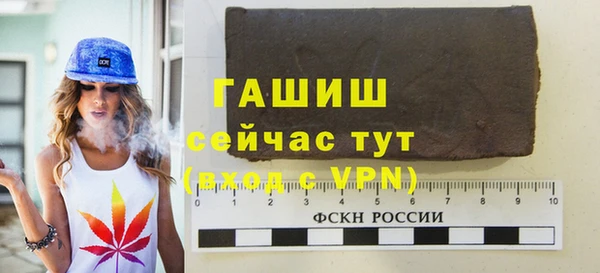 2c-b Ельня