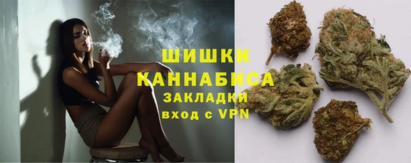 2c-b Елабуга