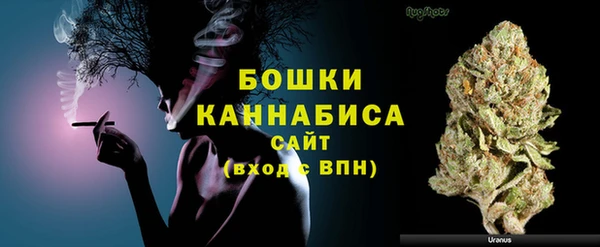 2c-b Ельня