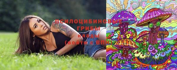2c-b Елабуга