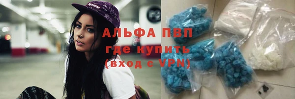 2c-b Ельня