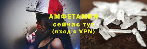 2c-b Ельня