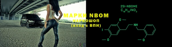2c-b Ельня