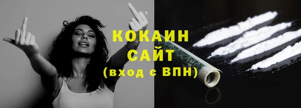 2c-b Ельня