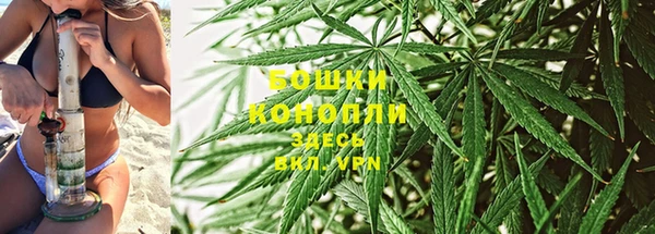 2c-b Ельня
