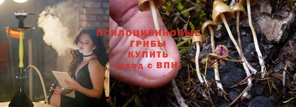2c-b Ельня