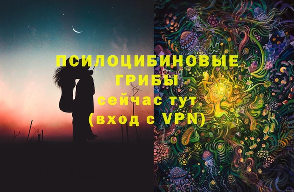 гидропоника Елизово