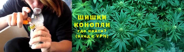 2c-b Ельня