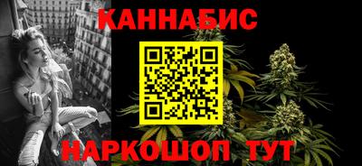сатива Ставрополь