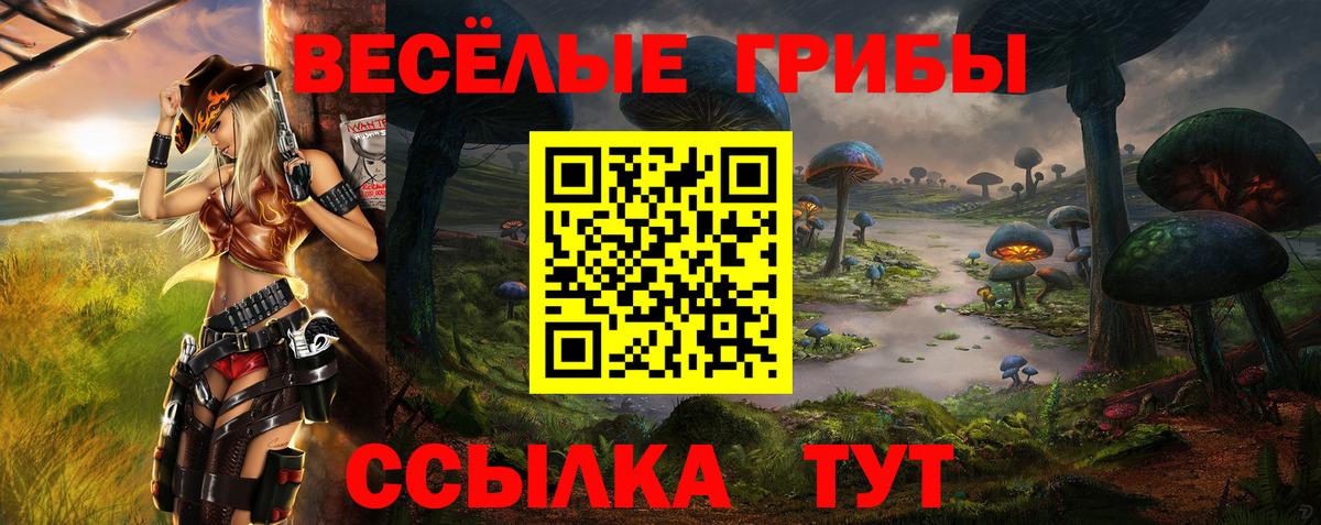 Северск  сколько стоит  Вход с VPN  Псилоцибиновые грибы MAGIC MUSHROOMS 